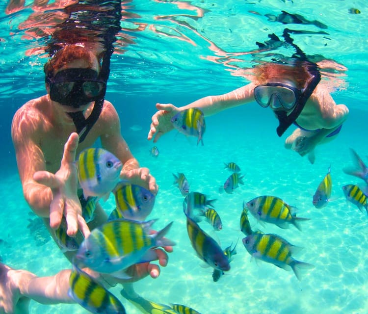 Best Cartagena Colombia Tour Guides Oceanarium Snorkeling Lunch Speedboat 1 1