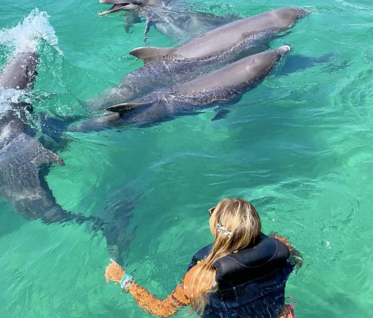 Best Cartagena Colombia Tour Guides Oceanarium Snorkeling Lunch Speedboat 10 1