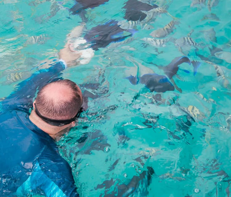 Best Cartagena Colombia Tour Guides Oceanarium Snorkeling Lunch Speedboat 11 1