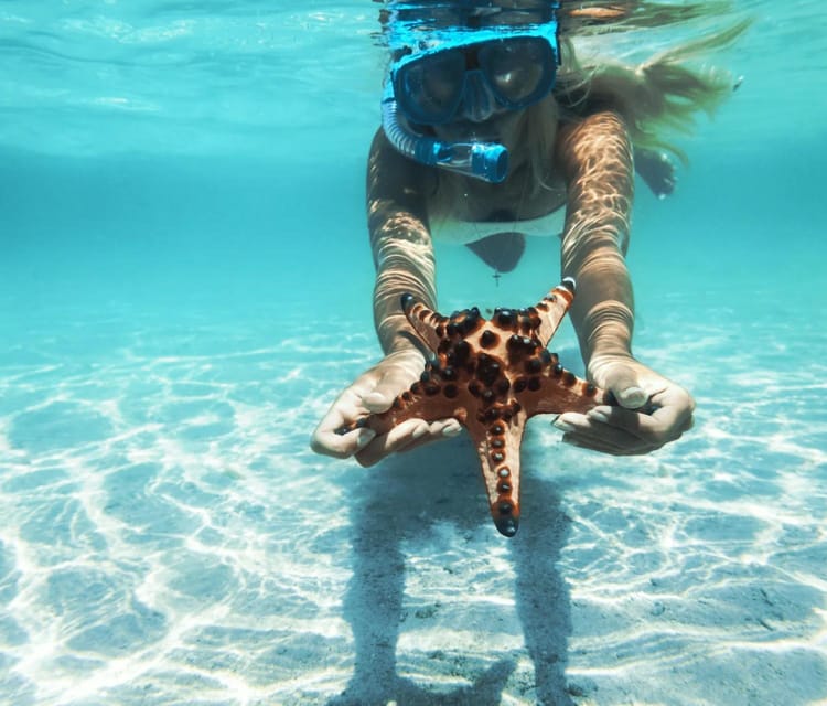 Best Cartagena Colombia Tour Guides Oceanarium Snorkeling Lunch Speedboat 14 1