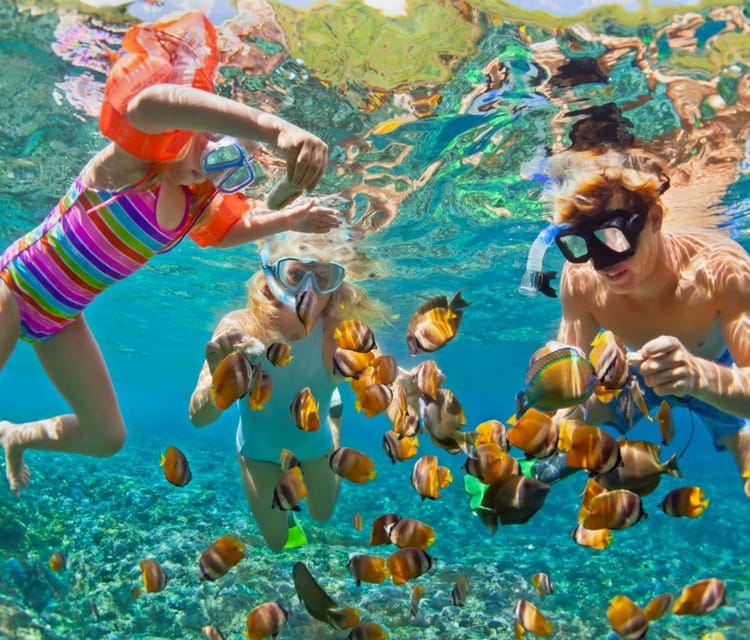Best Cartagena Colombia Tour Guides Oceanarium Snorkeling Lunch Speedboat 16 1