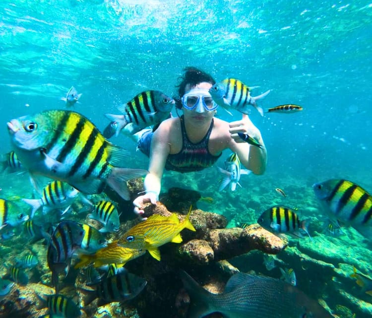 Best Cartagena Colombia Tour Guides Oceanarium Snorkeling Lunch Speedboat 18 1