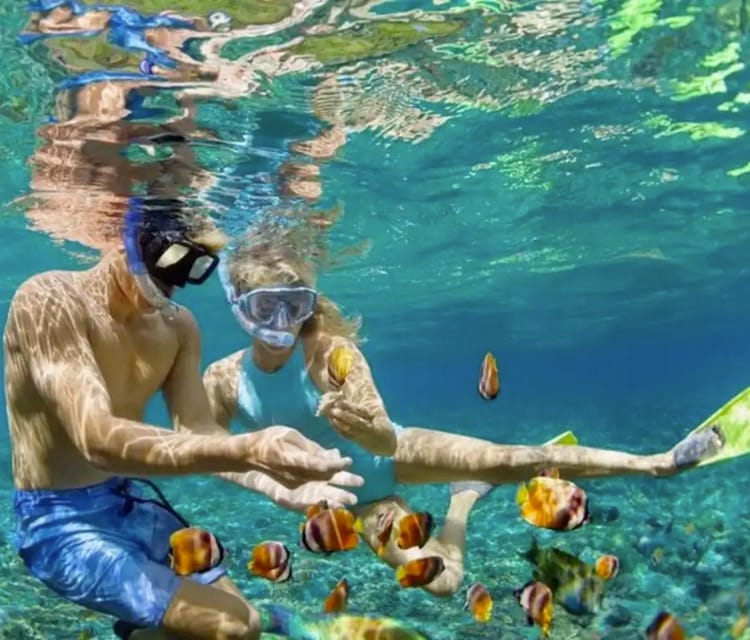 Best Cartagena Colombia Tour Guides Oceanarium Snorkeling Lunch Speedboat 20 1