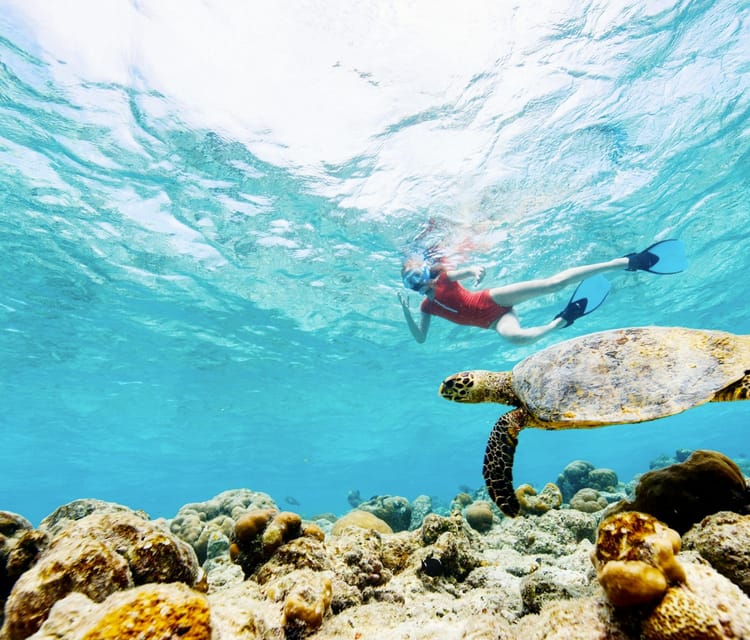 Best Cartagena Colombia Tour Guides Oceanarium Snorkeling Lunch Speedboat 21 1