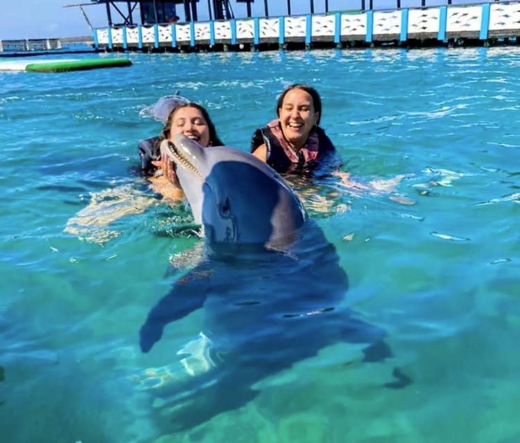Best Cartagena Colombia Tour Guides Oceanarium Snorkeling Lunch Speedboat 6 1