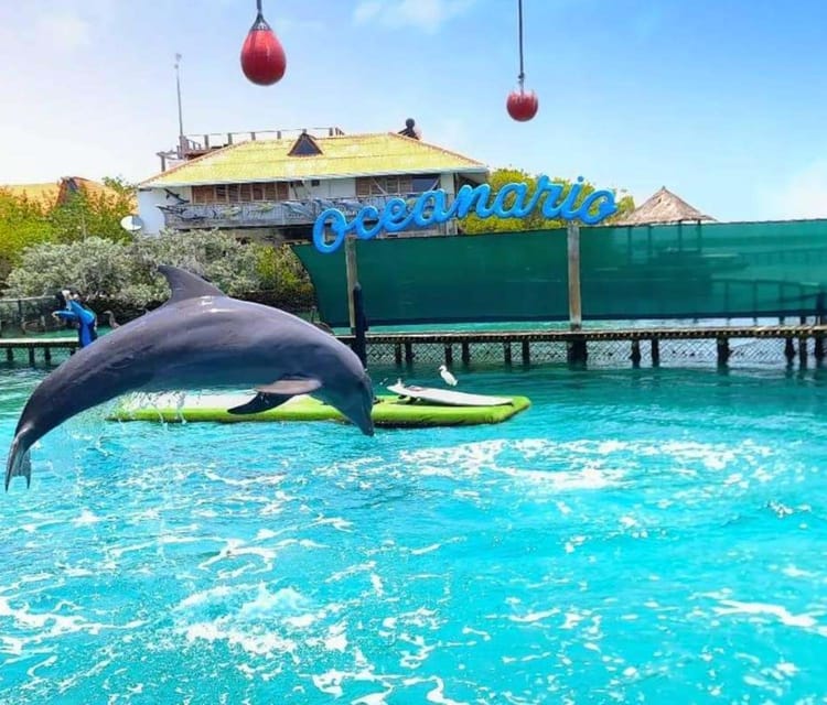 Best Cartagena Colombia Tour Guides Oceanarium Snorkeling Lunch Speedboat 7 1
