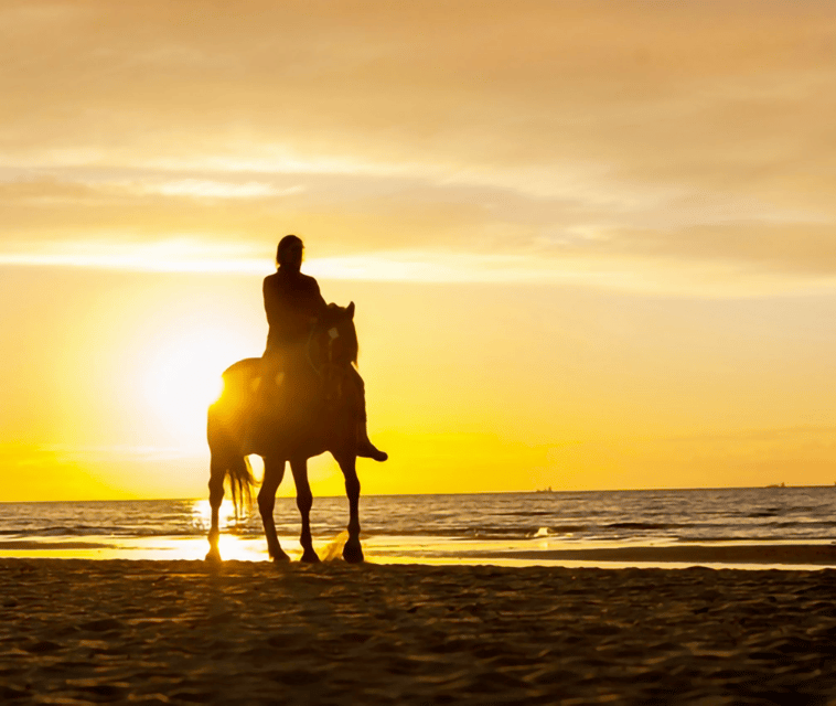 Cartagena Columbia Tour Beach Horseback Riding DMC 2