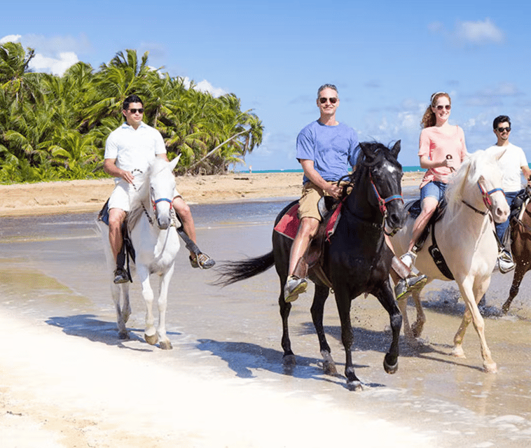Cartagena Columbia Tour Beach Horseback Riding DMC 3