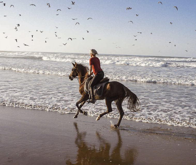Cartagena Columbia Tour Beach Horseback Riding DMC 5