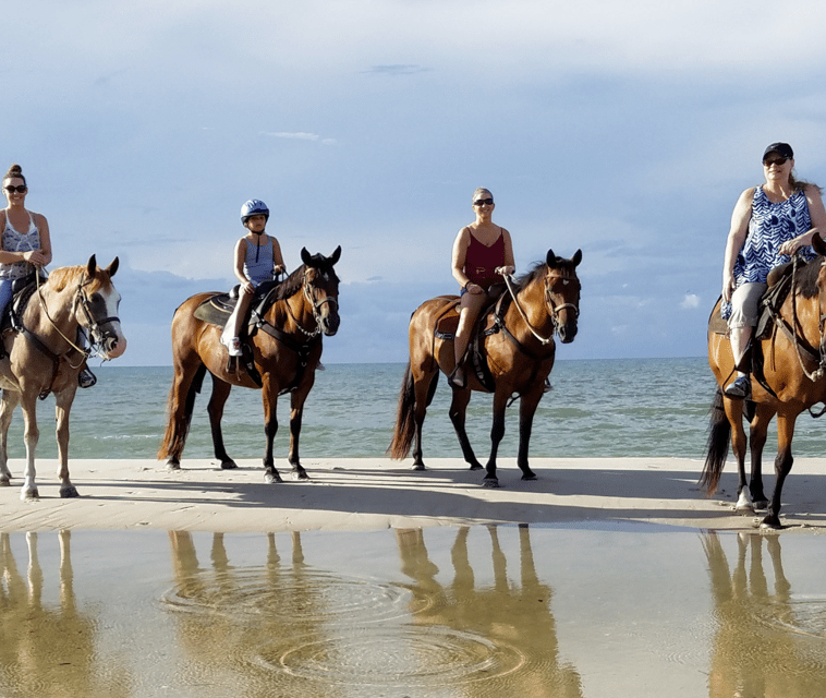 Cartagena Columbia Tour Beach Horseback Riding DMC 6