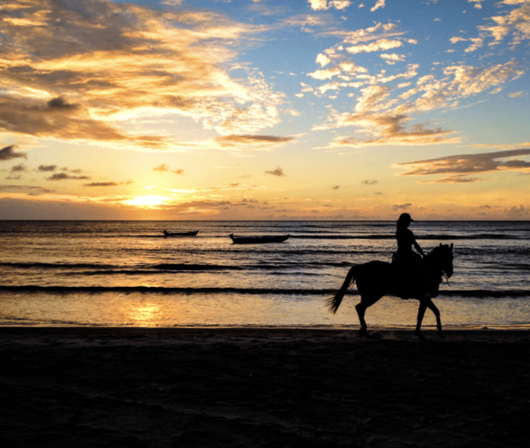 Cartagena Columbia Tour Beach Horseback Riding DMC 7