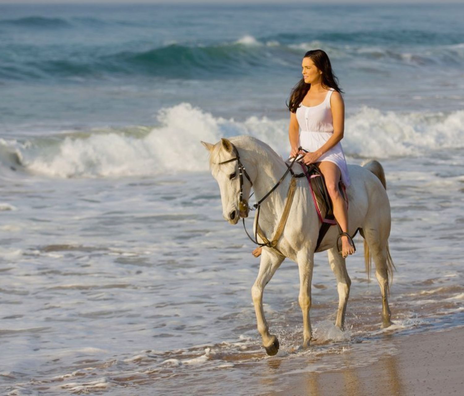 Gentle Horses