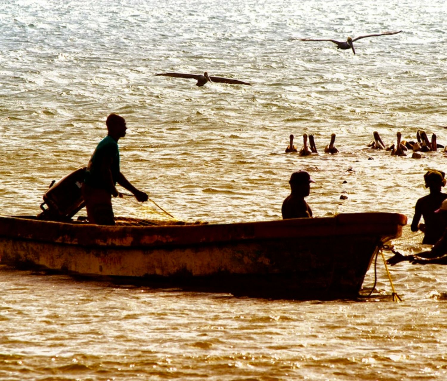 Rural Coastline