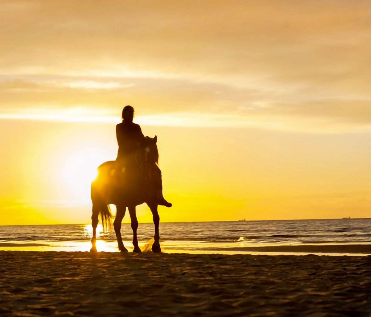 Horseback Riding at Sunset