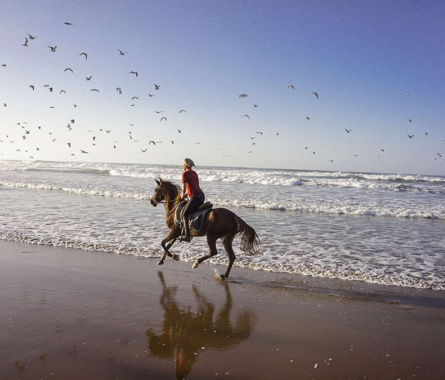 Beach Riding