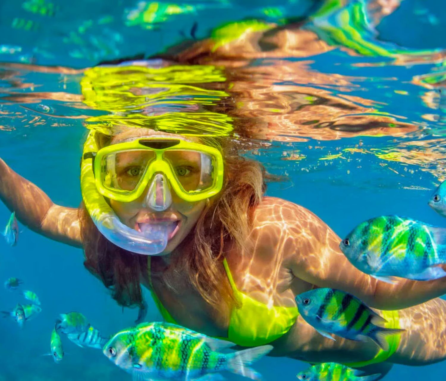 A school of colorful tropical fish underwater.